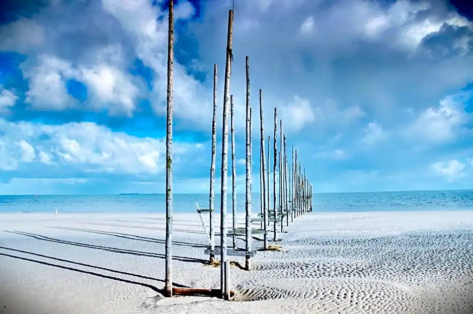 Zilt Texel