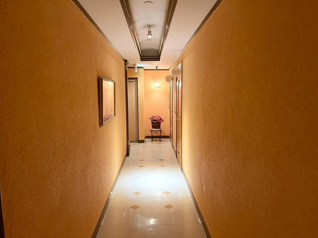 Hotel Pareo