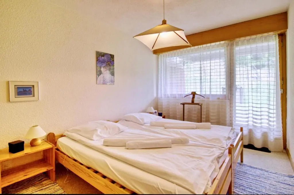 Appartement à 200m de la télé-cabine de Vercorin