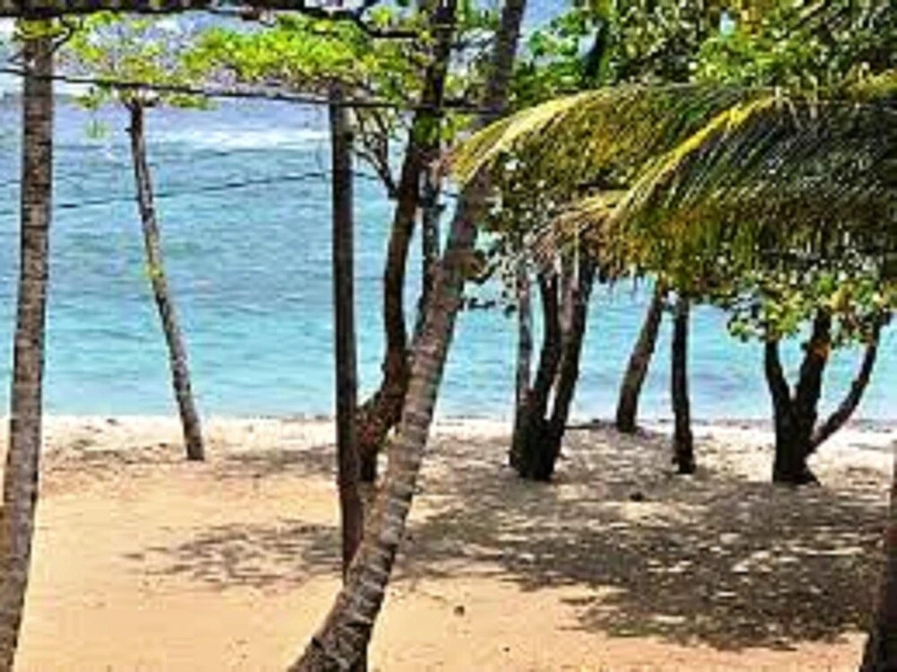 House With 2 Bedrooms in Sainte-marie, With Wonderful sea View, Shared Pool, Enclosed Garden