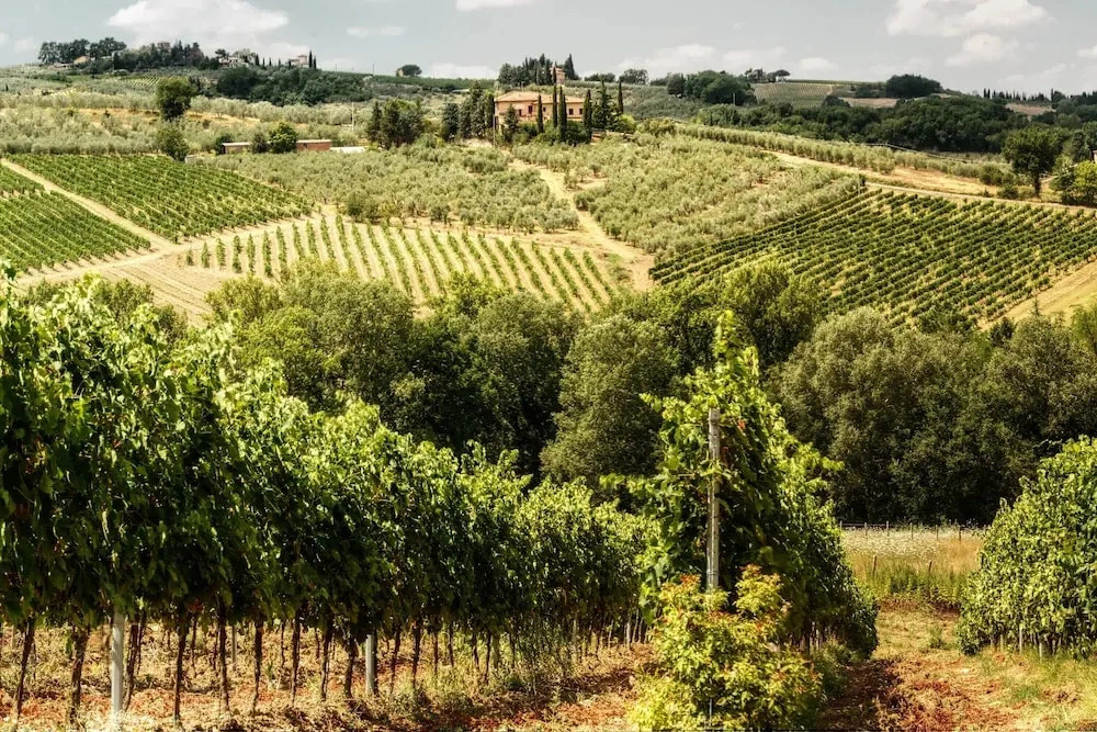 Chianti Wine Site Apt Private Balcony