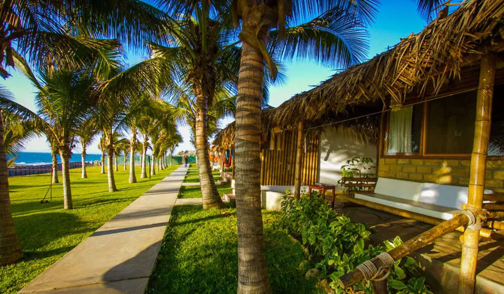 Hotel Playa Palmeras