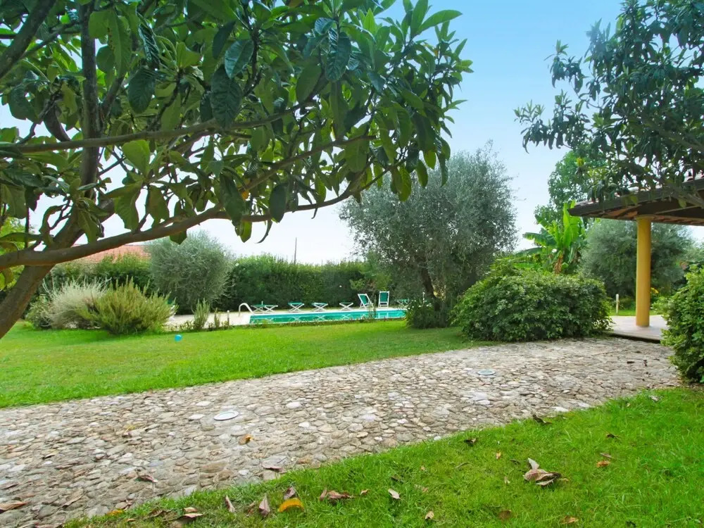 Verde Pietrasanta in Pietrasanta