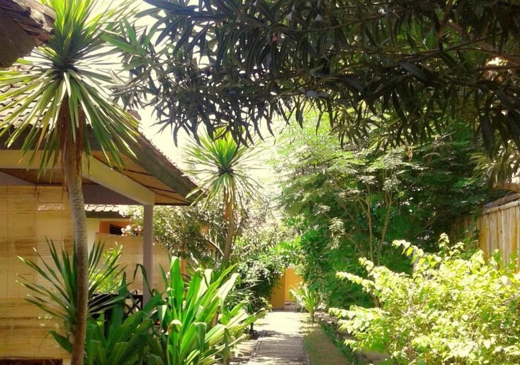 Funnyhomestay3