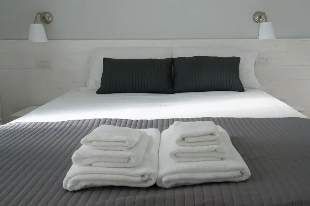 B&B Bucci 54