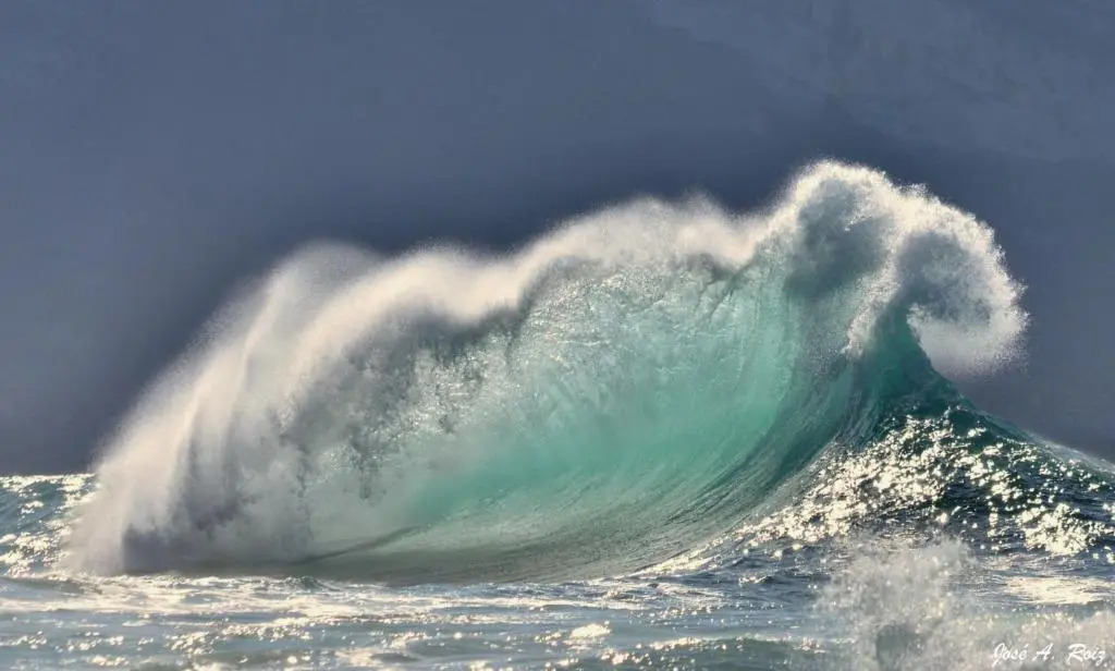 La Surferia