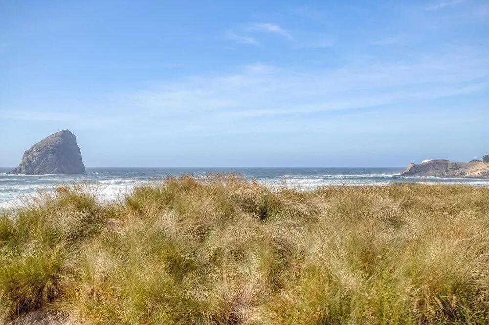 Spectacular River and Ocean View - Charming Coastal Retreat