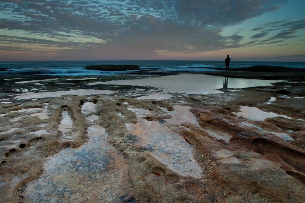 Bondi Lock-Down Retreat, The Cute Place To Put Up Your Feet