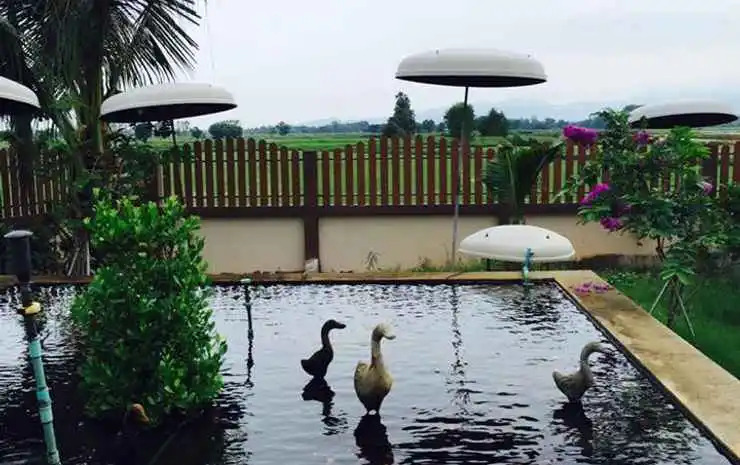 Bann Chompu Resort