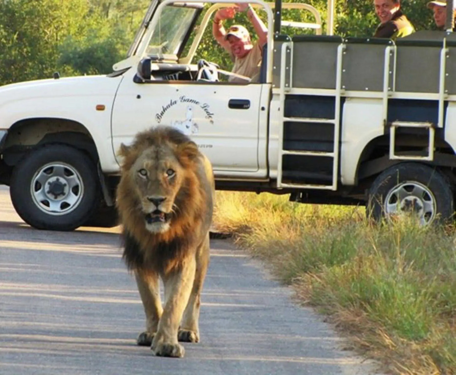 Buhala Lodge