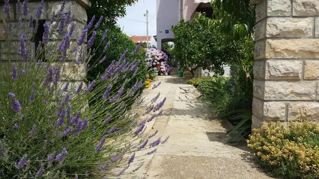 Apartmani Lucija