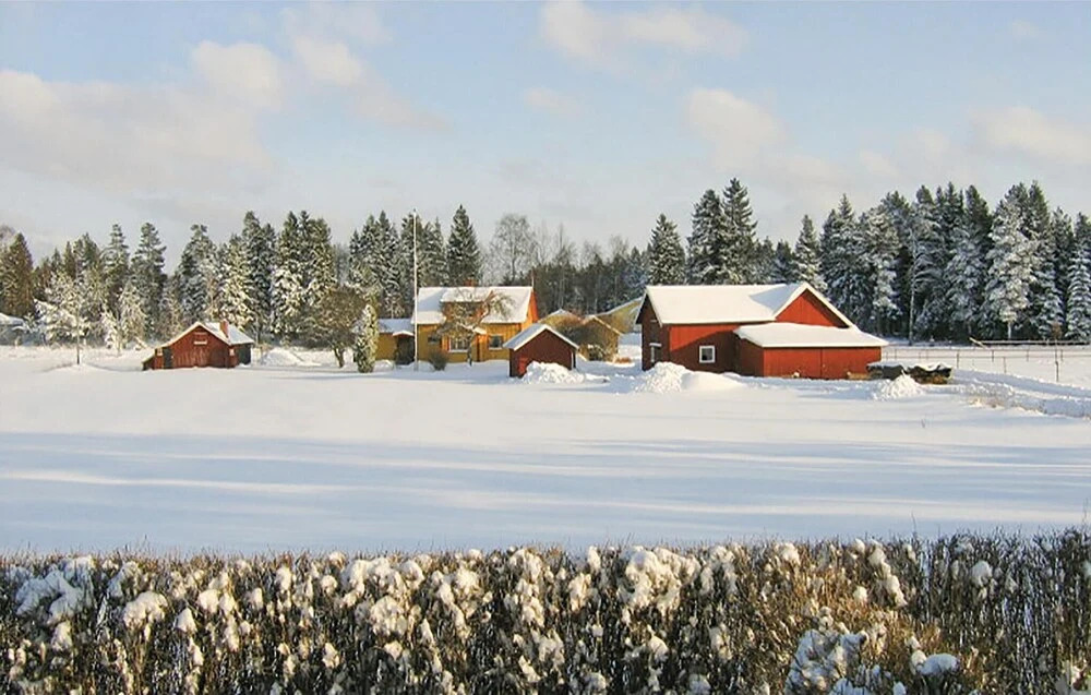 Cozy Home In Vänersborg With Wifi