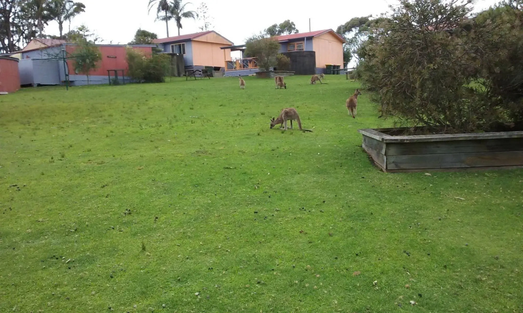 Durras Lake North Holiday Park