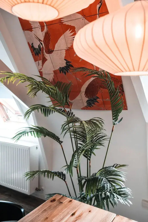 Casa Coral