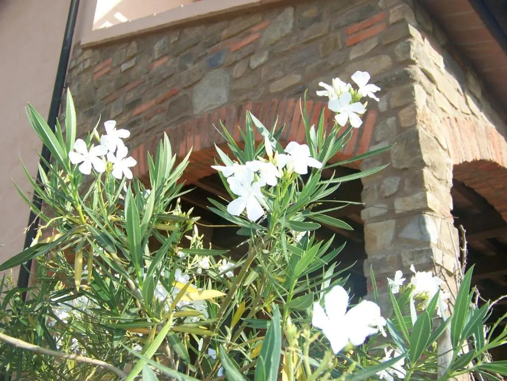 Agriturismo La Nocciolina