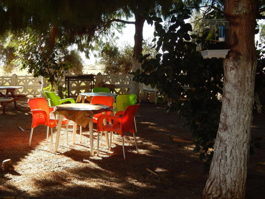 Koru Beach Club