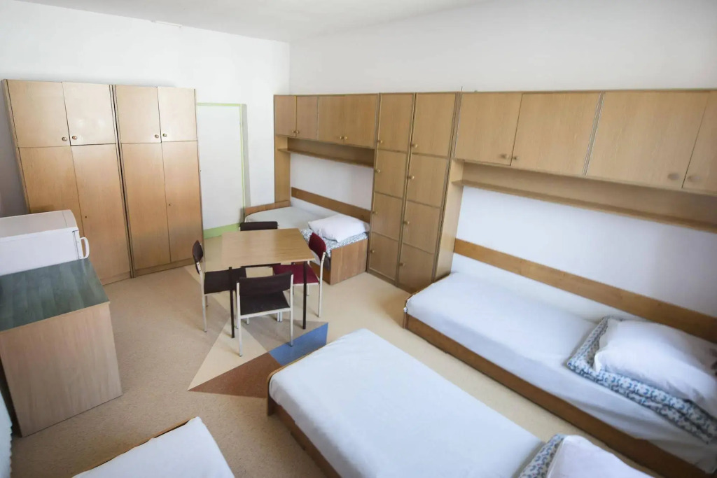 Dizzy Daisy Hostel