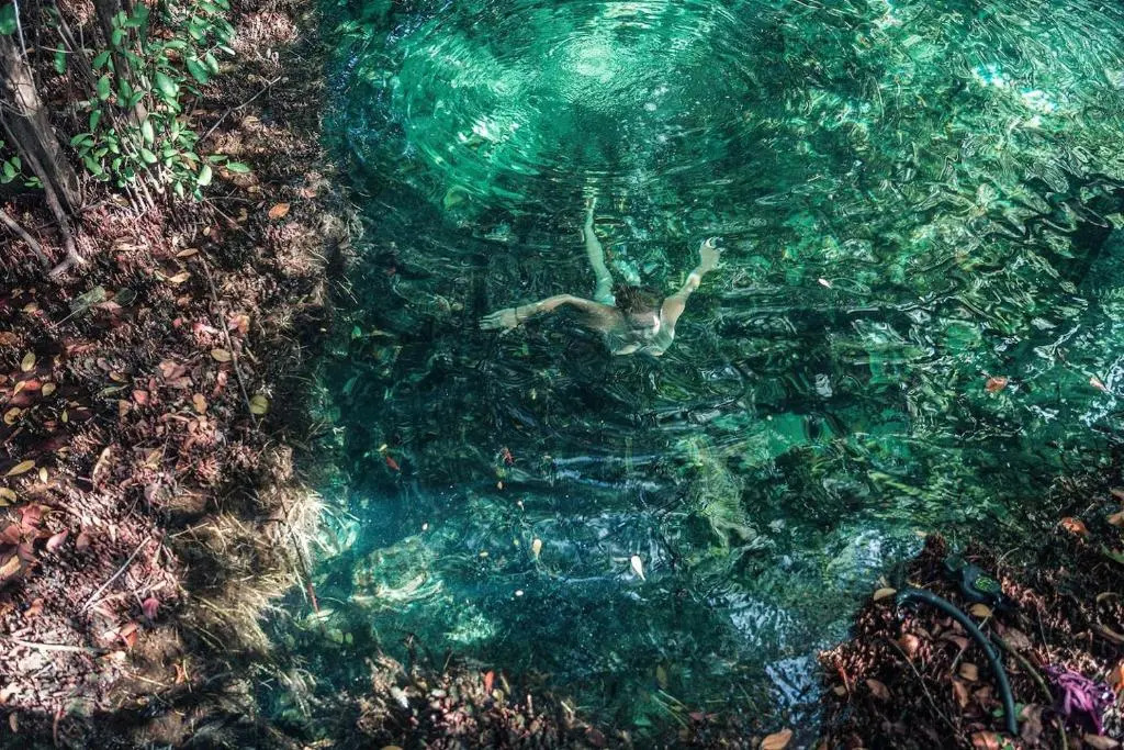Hidden Treehouse Tulum EcoHotel