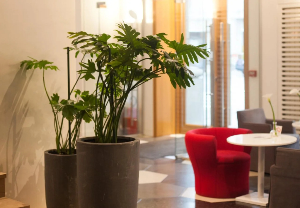 Jump INN Hotel Belgrade