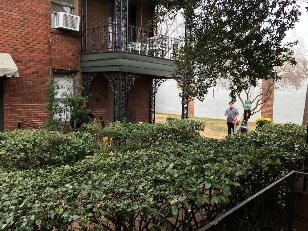 Memphis Belvedere Suites Studio