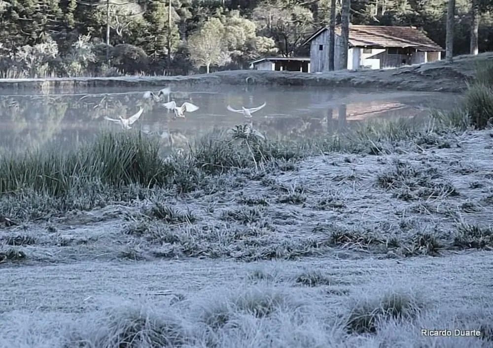 Refuge Green Valley