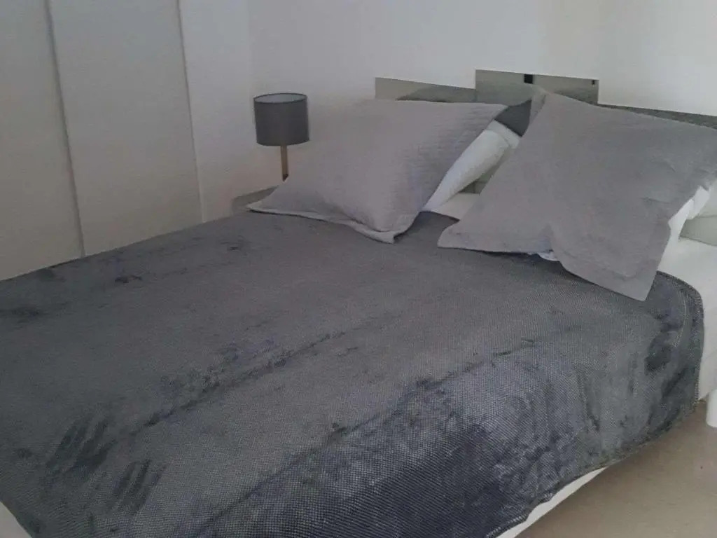 Appartement Villeneuve-Loubet, 2 pièces, 4 personnes - FR-1-252A-34