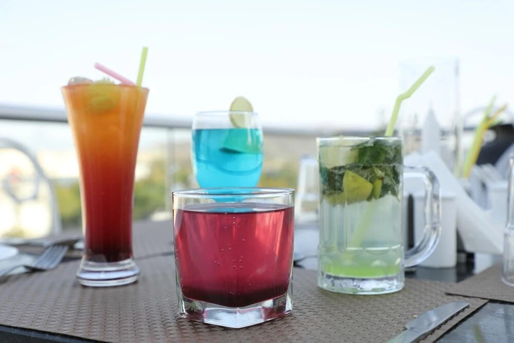 The Ramvilas - A Rooftop Lake View Hotel in Udaipur