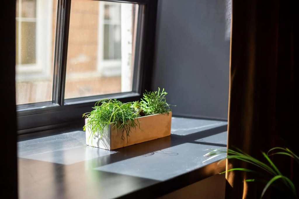 #stayhere - Historic Vilnius Old Town Chic Studio