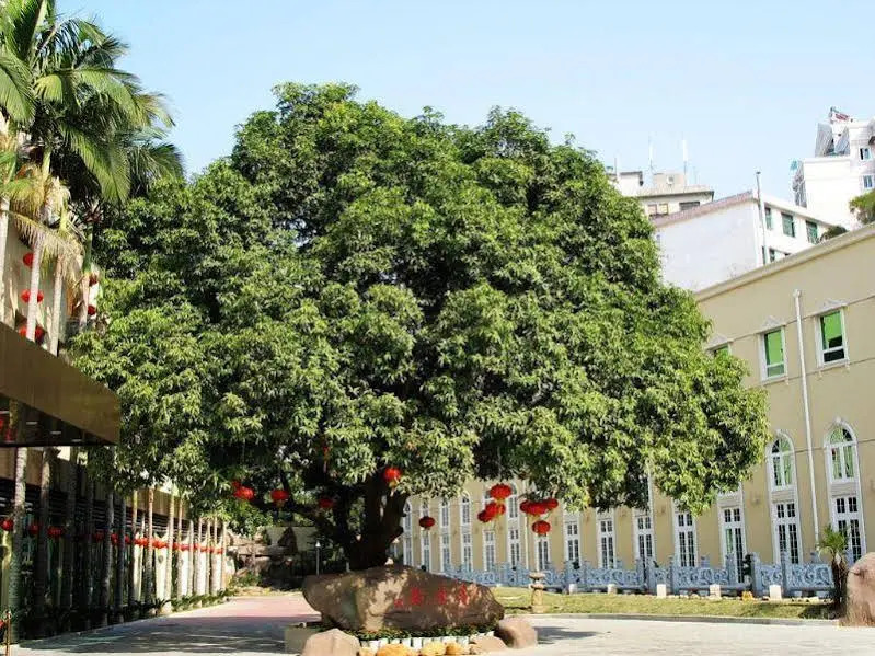 Xiamen Calman Hotel