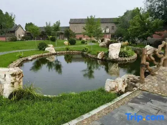Xianxi Chanju