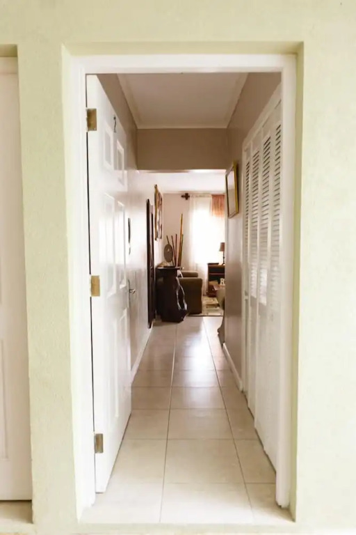 New Kingston Guest Apartment VII