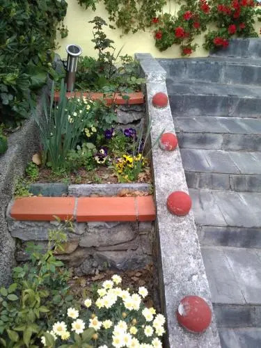 B & B Sachawasi