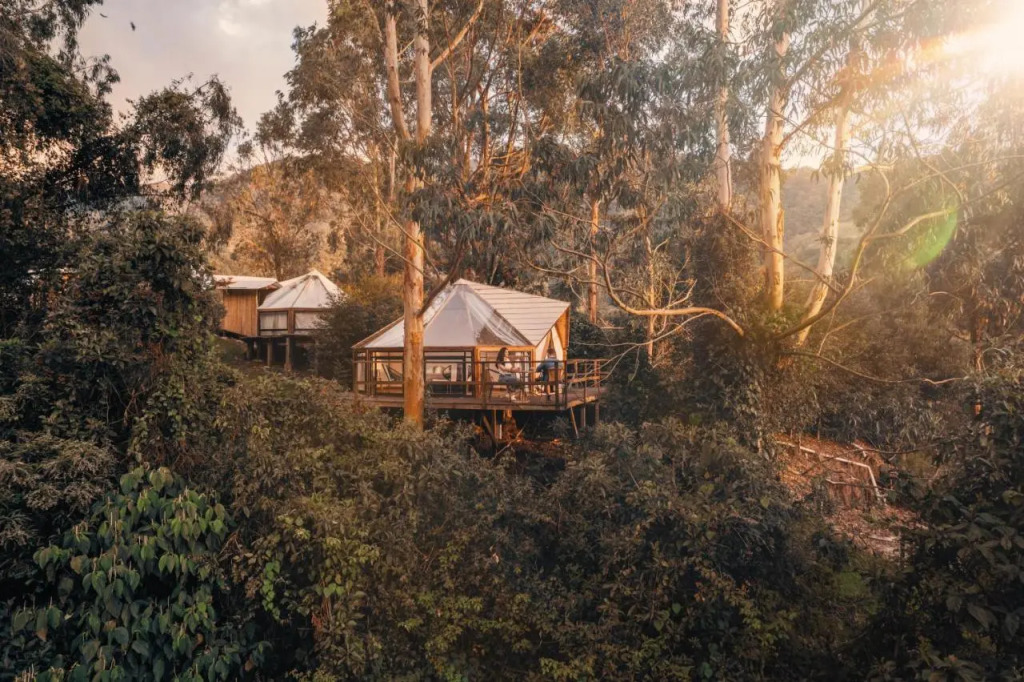 Lumbre Forest Lodge