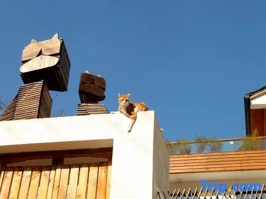 Moganshan Muddlehead's Pet Theme B&B