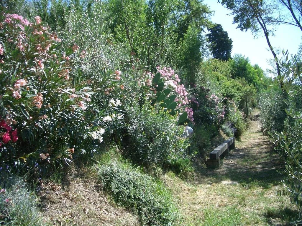 Gli Oleandri