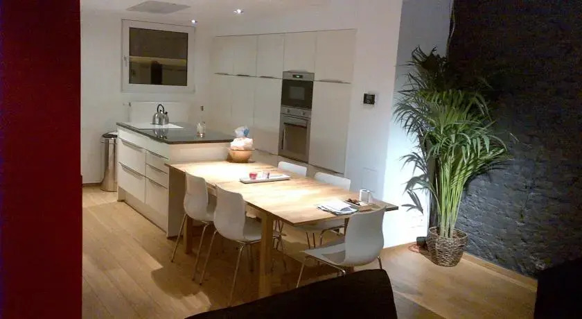 Fantastic Duplex in the Heart of Brussels
