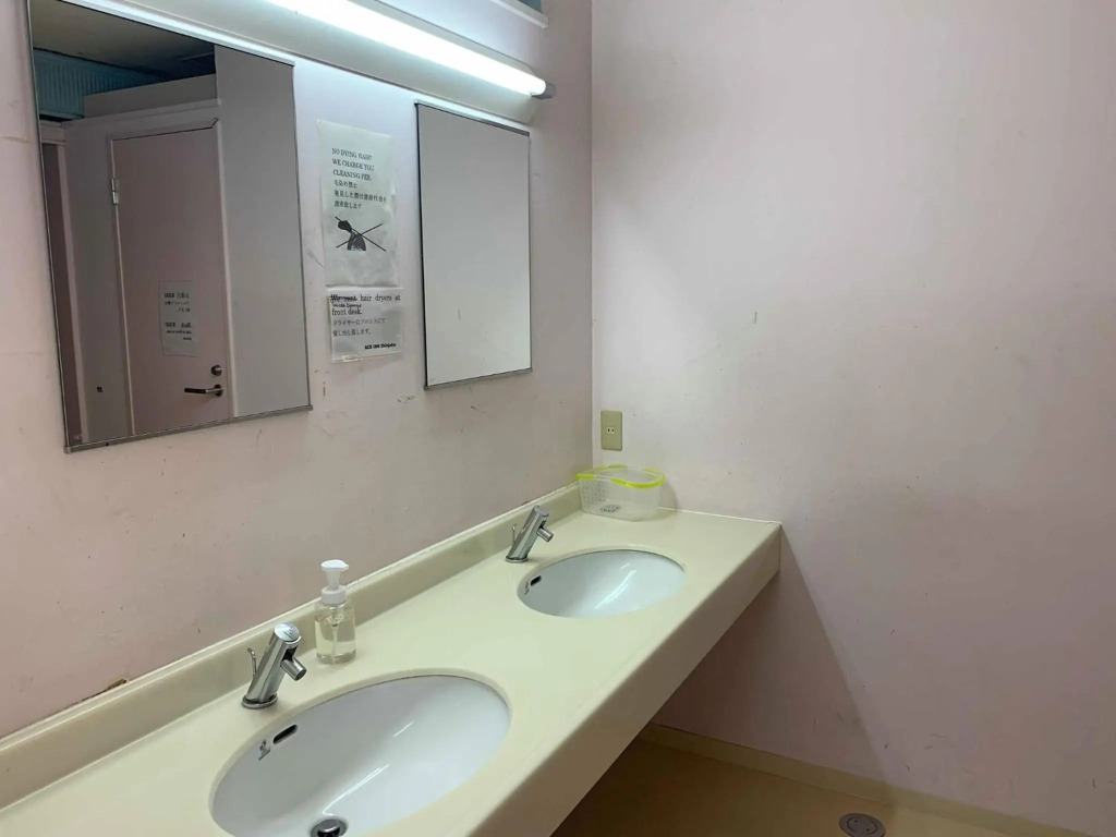 Ace Inn Shinjuku - Hostel