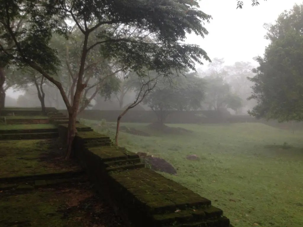 Primate Centre