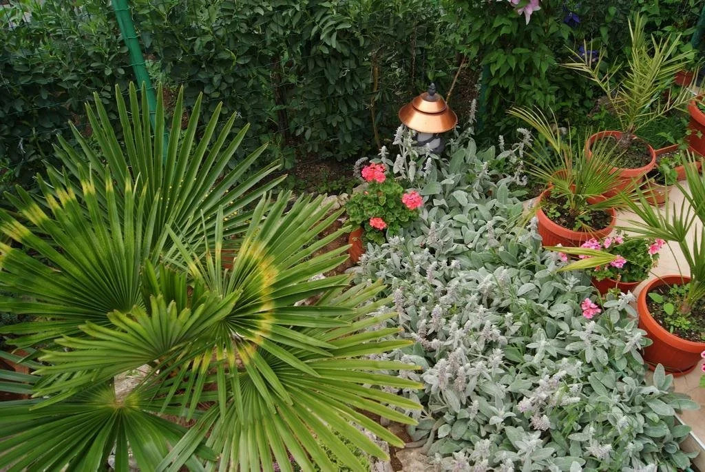Family Hotel Rositsa