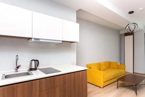 Flat 1 Bedroom 1 Bathroom - Bakuriani
