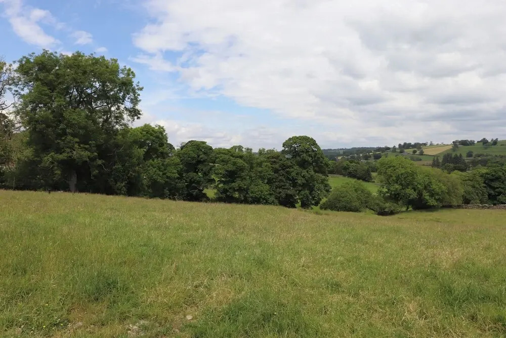 Meadow Syke House