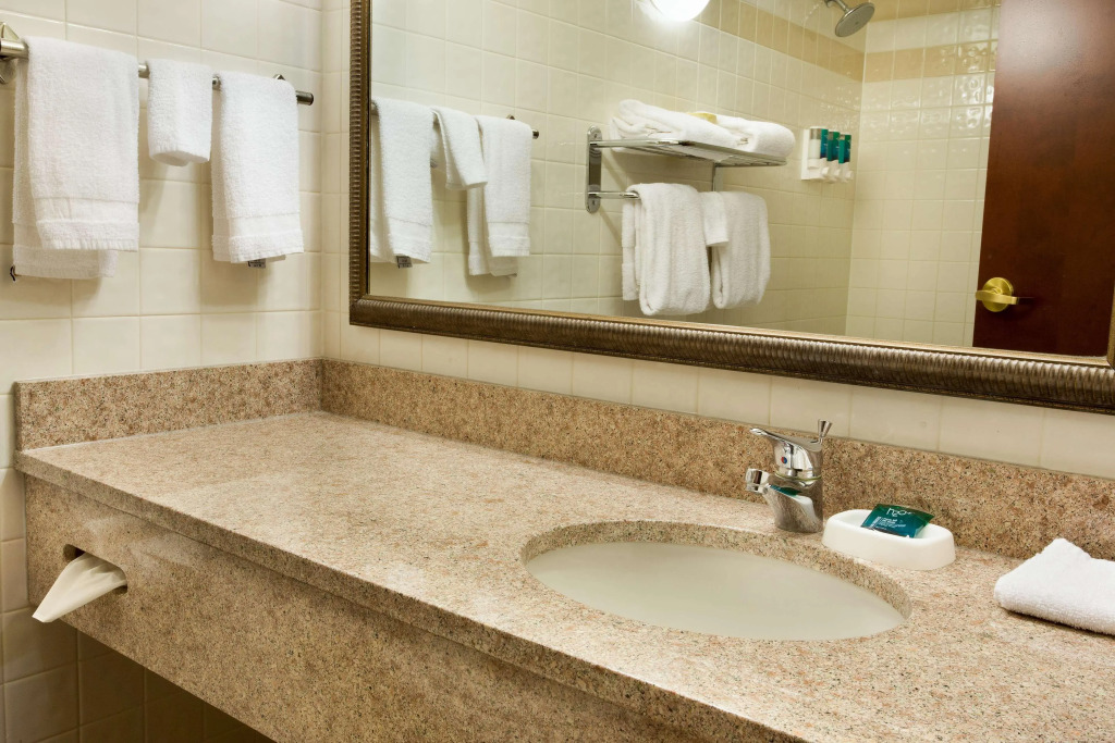 Drury Plaza Hotel St Louis Creve Coeur
