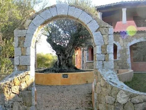 Asfodeli di Marinella