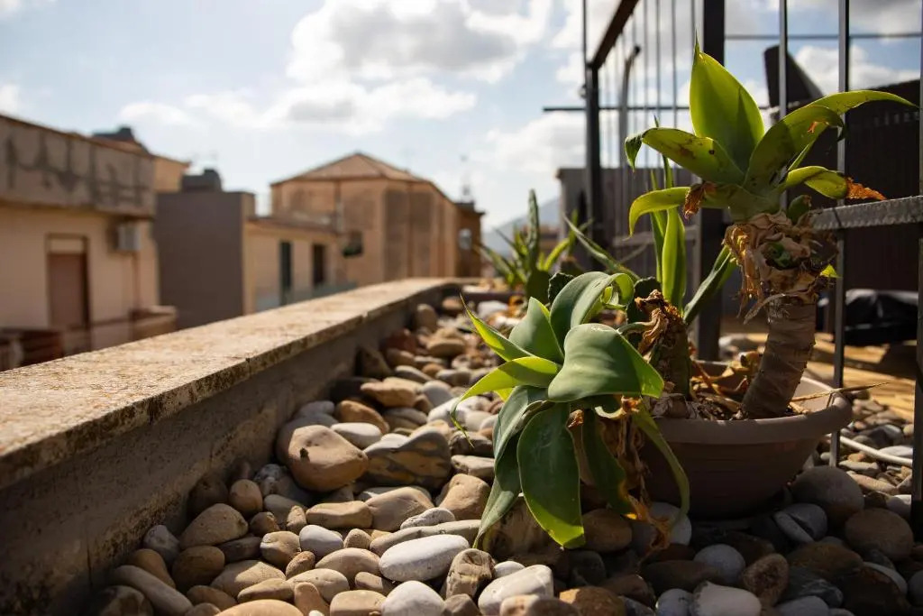 alfaapartment & beautiful 20-metre terrace