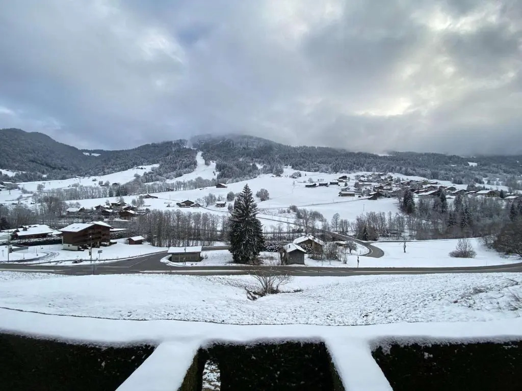Appartement Praz-sur-Arly, 1 pièce, 4 personnes - FR-1-603-25