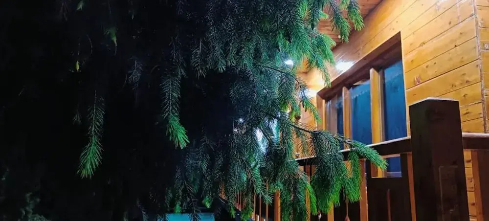 Harsil apple homestay