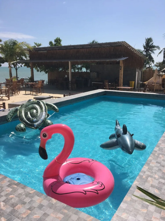 Sea Safari