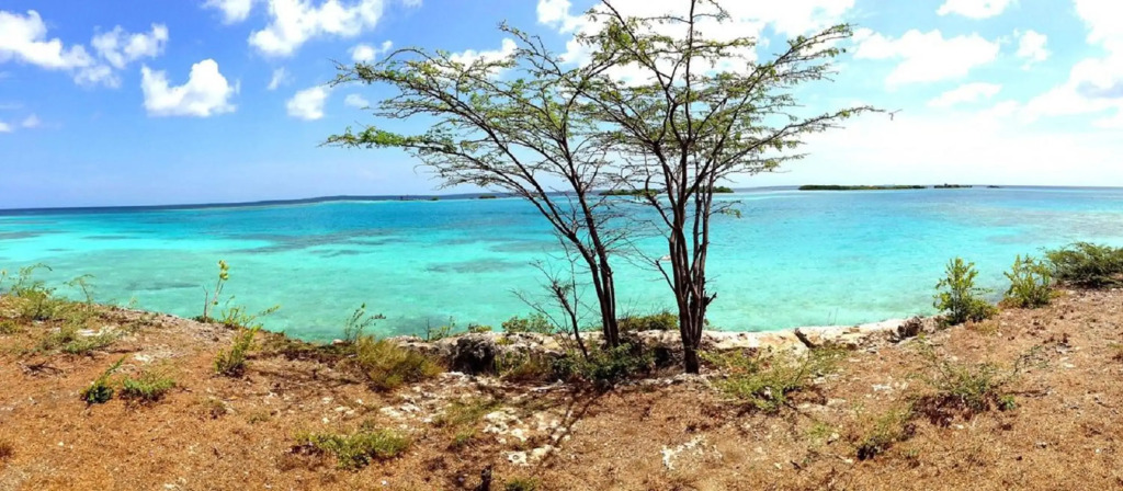Arubahome