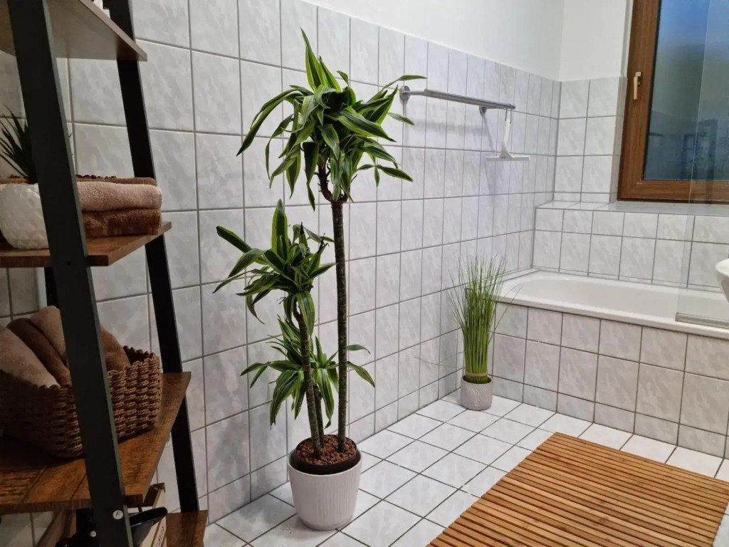 Weserufer, 92qm for 8, stylish, Parkplatz, Netflix
