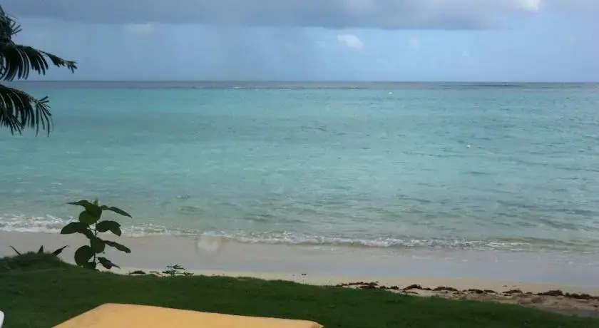 Eden Sands